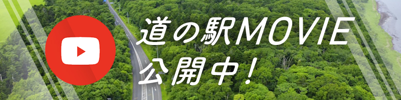 道の駅MOVIE公開中