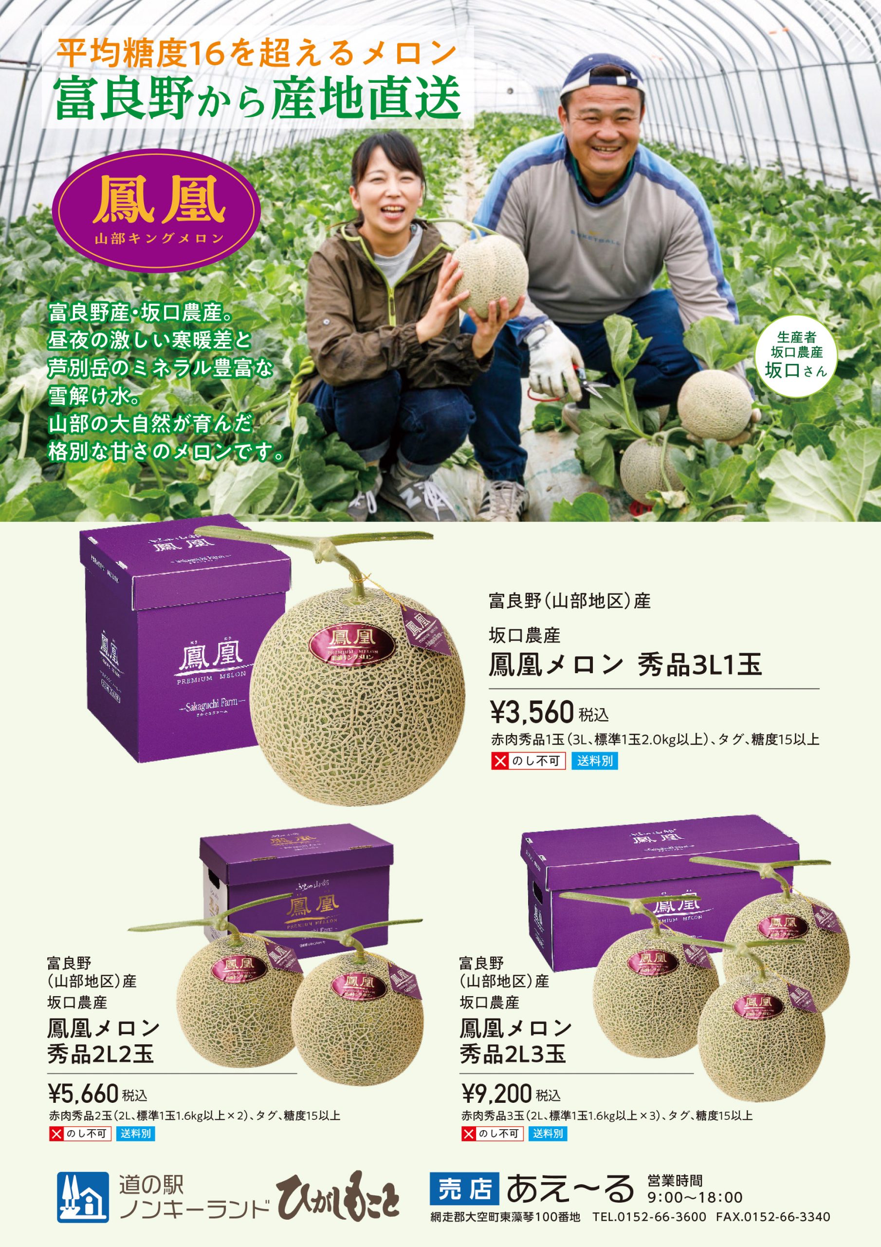 仲直りシュークリーム 野口 Amazon.co.jp: 野口衣織 仲直りシュークリームコンプ : おもちゃ